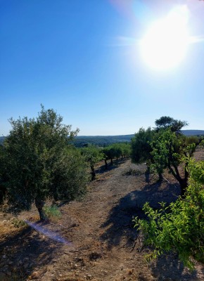 B&B Noto Sicilia Comune 11