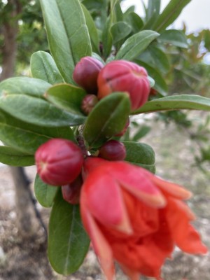 B&B Noto Sicilia Comune 14